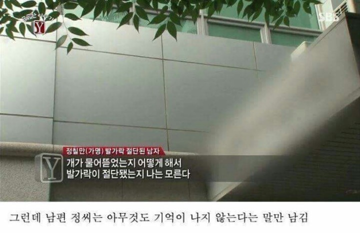 궁금한 이야기 Y 역대급 난제 | 인스티즈