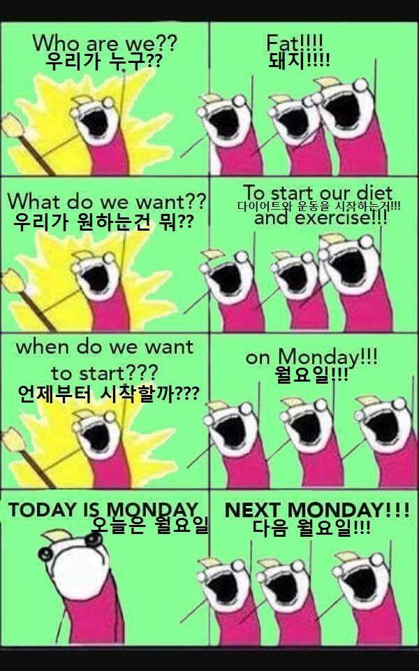 다이어트 패턴.JPG | 인스티즈