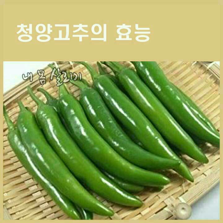 (주)고추나라 이미지