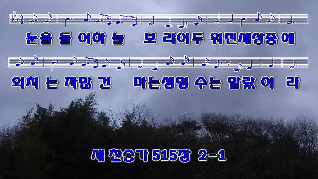 하늘보라 이미지