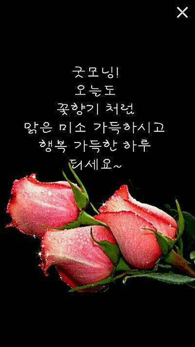 빵긋 이미지