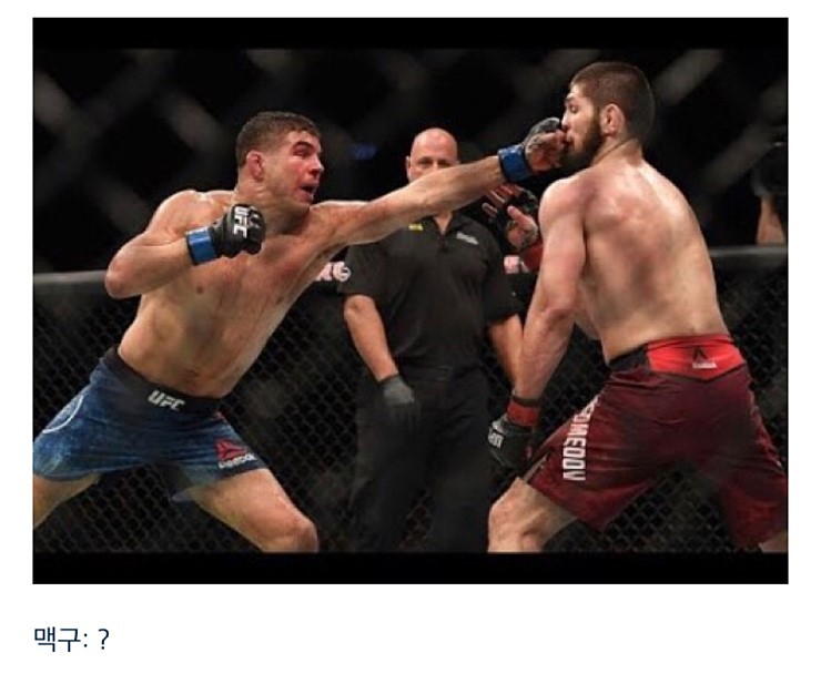 맥그리거는 왜 하빕과의 경기를 수락했을까? 사진 정리 | 인스티즈