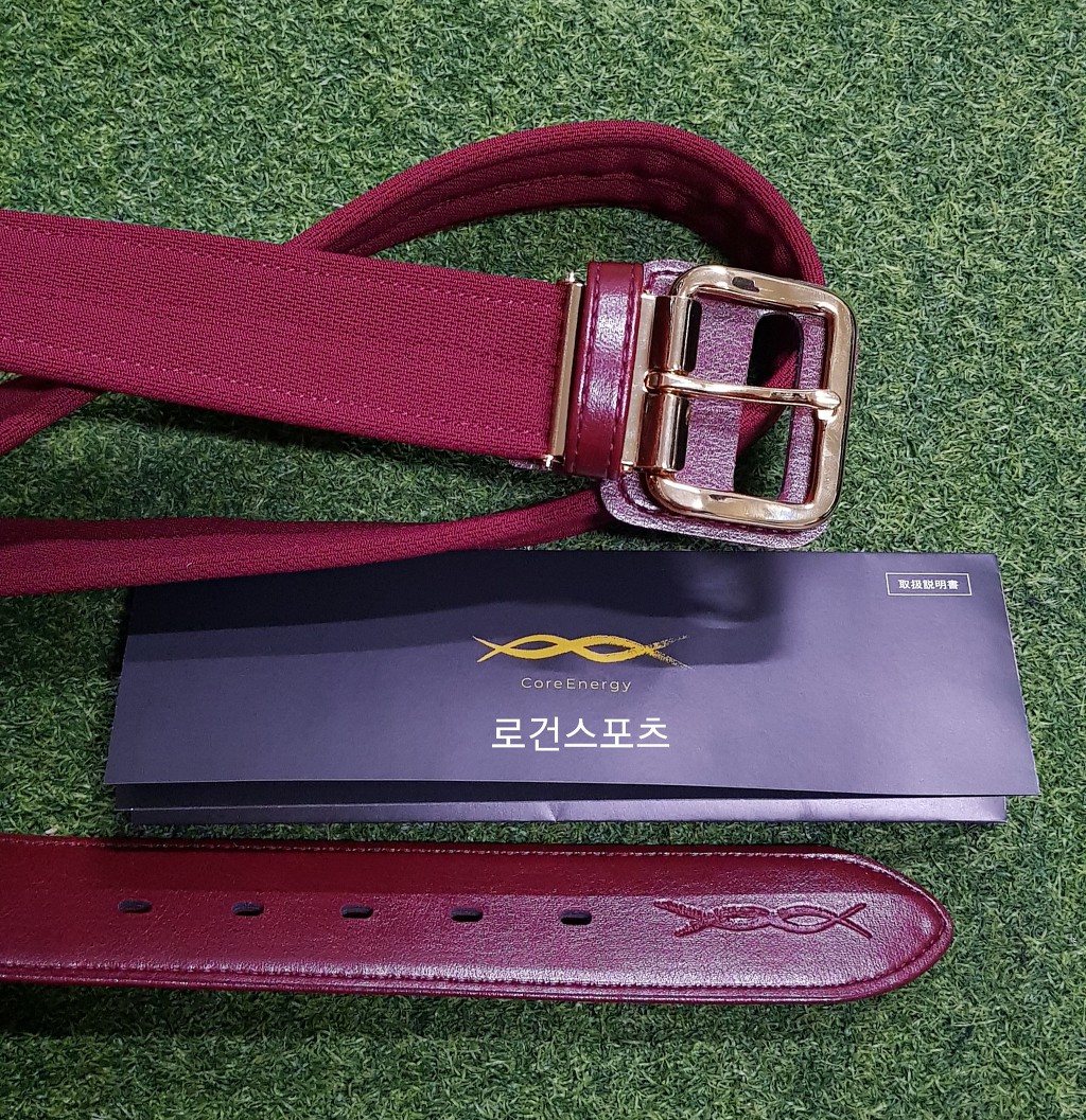 코어에너지 이미지