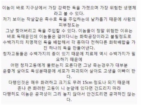 보기보다 훨씬 더 위험한 생물들 (혐오주의) | 인스티즈