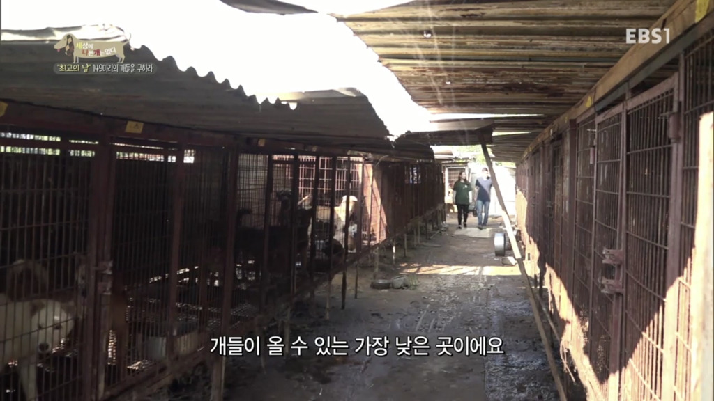 어떻게 사람을 그렇게 좋아할 수 있죠? | 인스티즈
