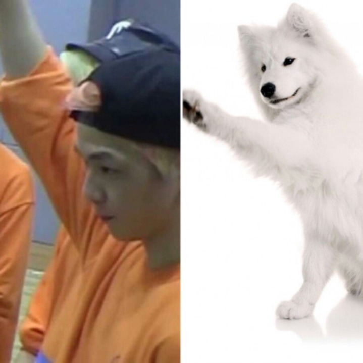 강아지중에 가장 사람닮은듯한 강다니엘 사진모음.jpg | 인스티즈