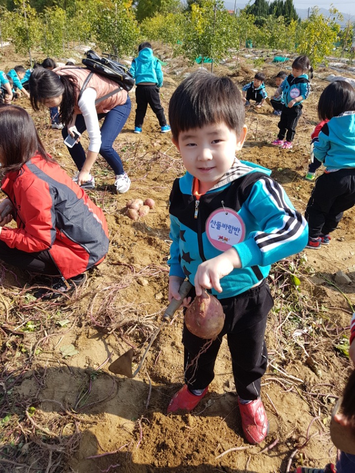 산들바람농장 이미지