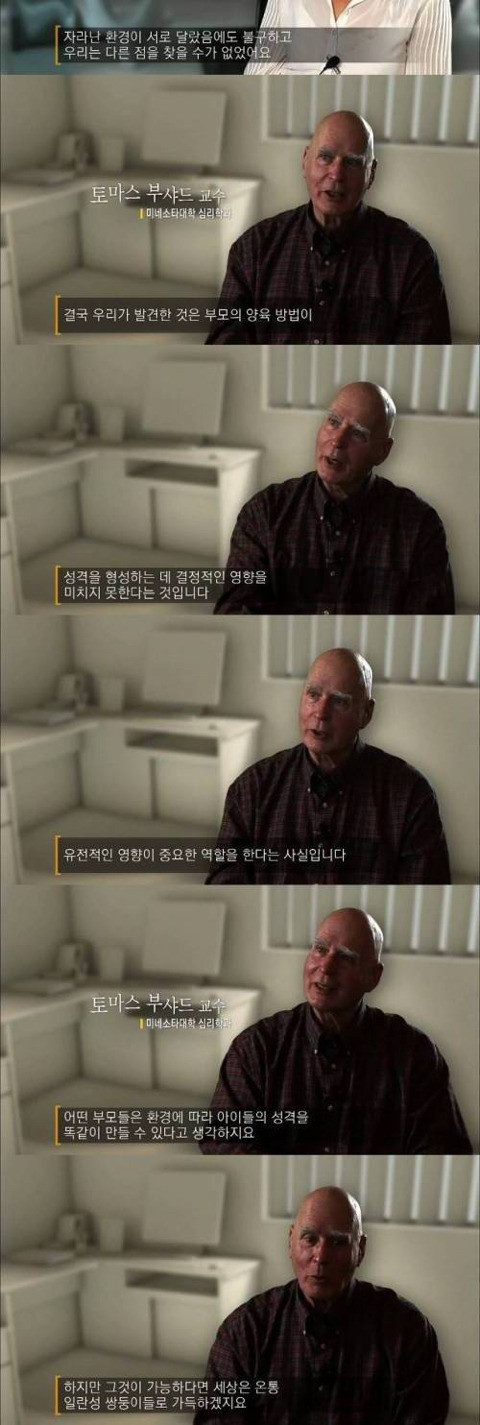 사람의 성격에 영향을 주는것 | 인스티즈
