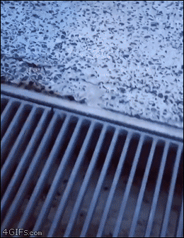 점프하는 솜뭉치.gif | 인스티즈