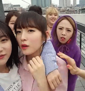똥머리한 여자아이돌들.jpgif | 인스티즈