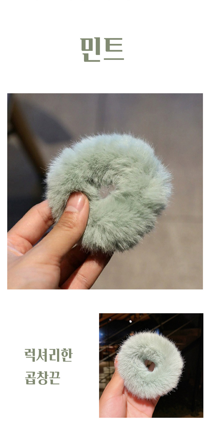 밴드에코 이미지
