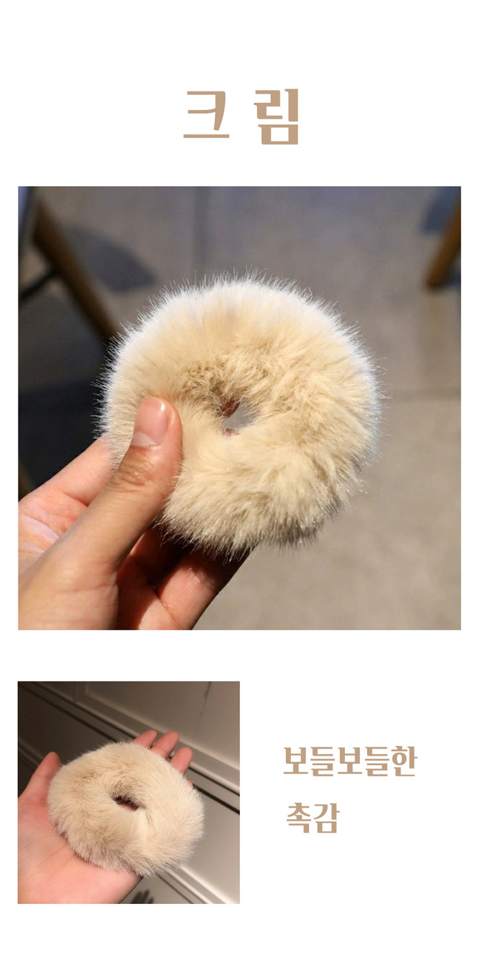 밴드에코 이미지