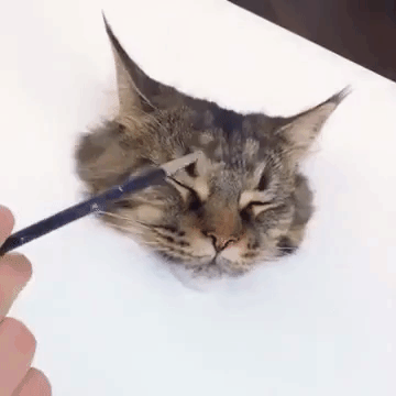 3D 잉크로 고양이를 그려보았습니다 | 인스티즈