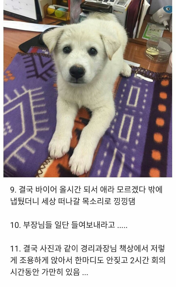 회사에서 개난처한 썰 | 인스티즈