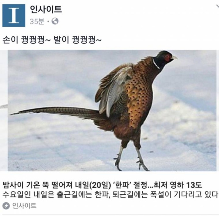 손이 꿩꿩꿩, 발이 꿩꿩꿩 | 인스티즈