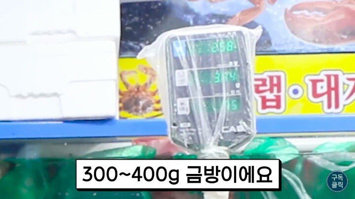 수산시장에서 바가지 안당하는법.JPG | 인스티즈