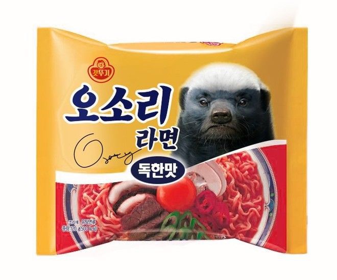 너구리 라면의 경쟁자가 나타났다 | 인스티즈