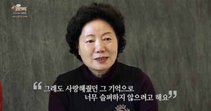 [세나개] 여러분에게 노견은 어떤 의미인가요? | 인스티즈