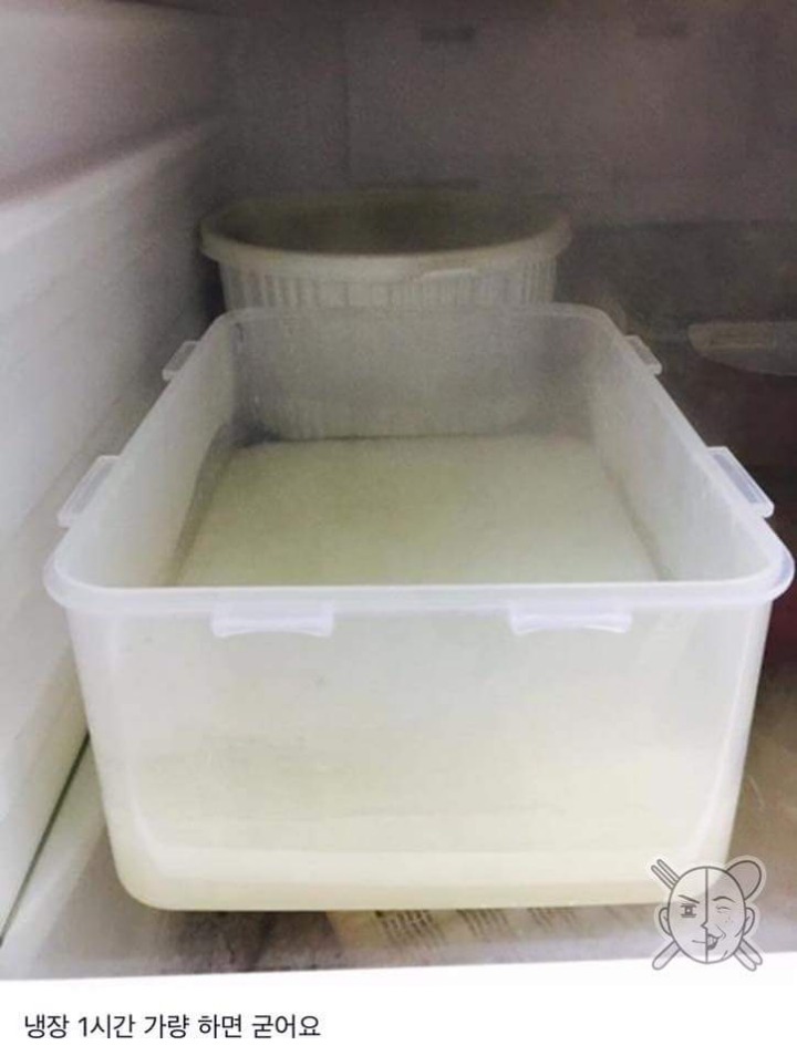 집에서 만들어 먹는 곤약젤리 | 인스티즈