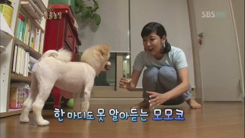 동물농장 최초 사기꾼.JPG | 인스티즈