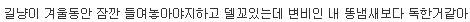 이쯤되면 어느정도인지 궁금해지는 고양이 똥냄새. jpg | 인스티즈