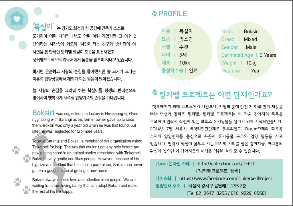 디자인만세 이미지