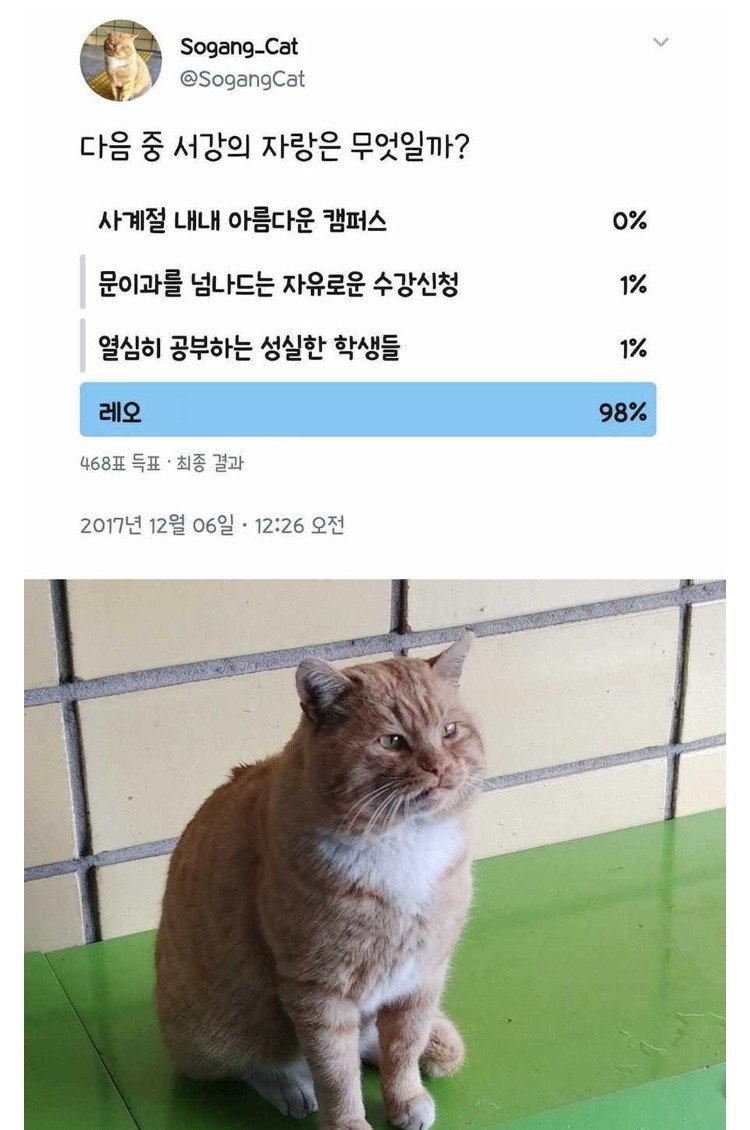 서강대의 구급함.jpg | 인스티즈