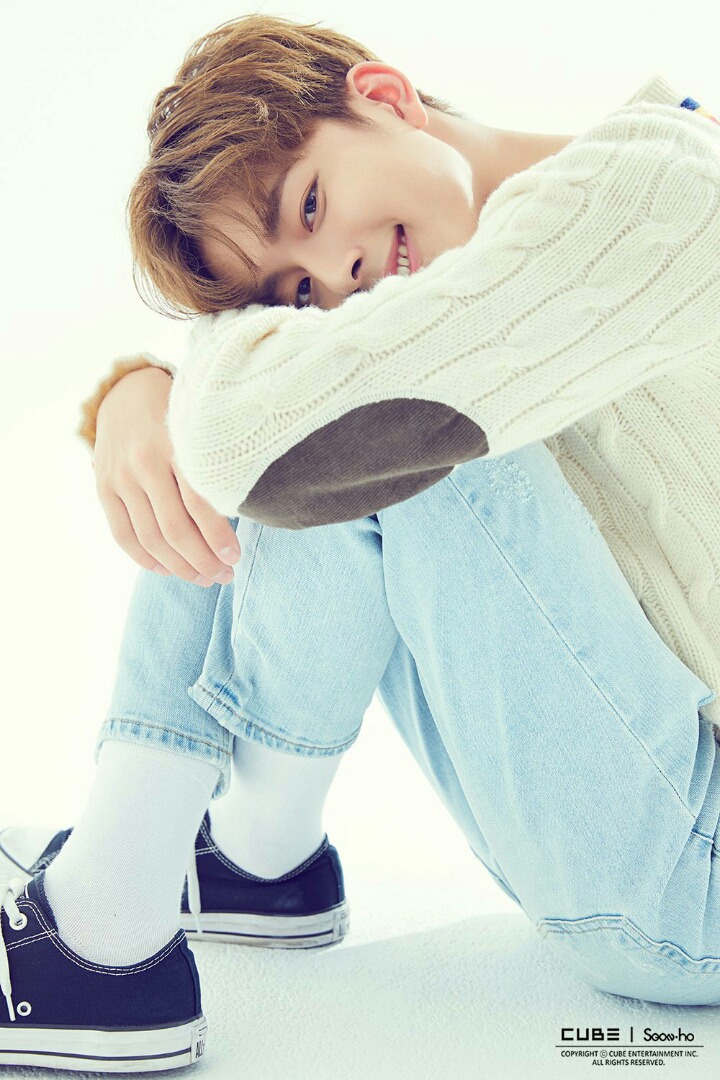 병아리날다 이미지