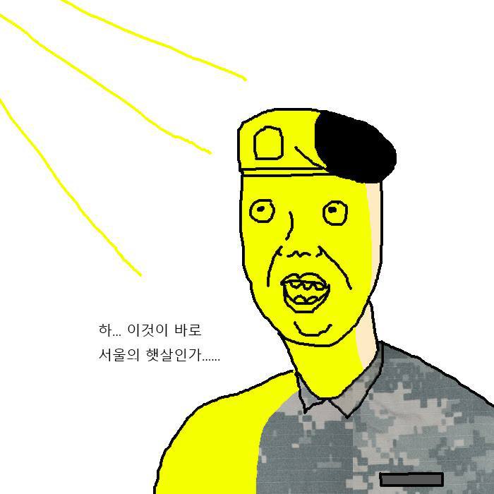 [만화] 이등병이 신병위로 휴가 나온 만화 | 인스티즈