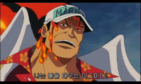 실제 사관생도들의 롤모델이라는 원피스 캐릭터 | 인스티즈