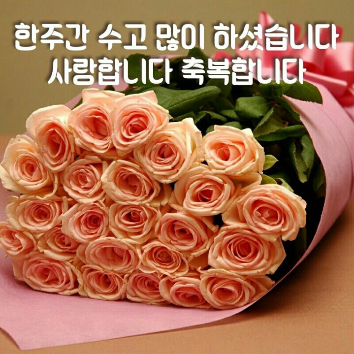 샬롬 이미지