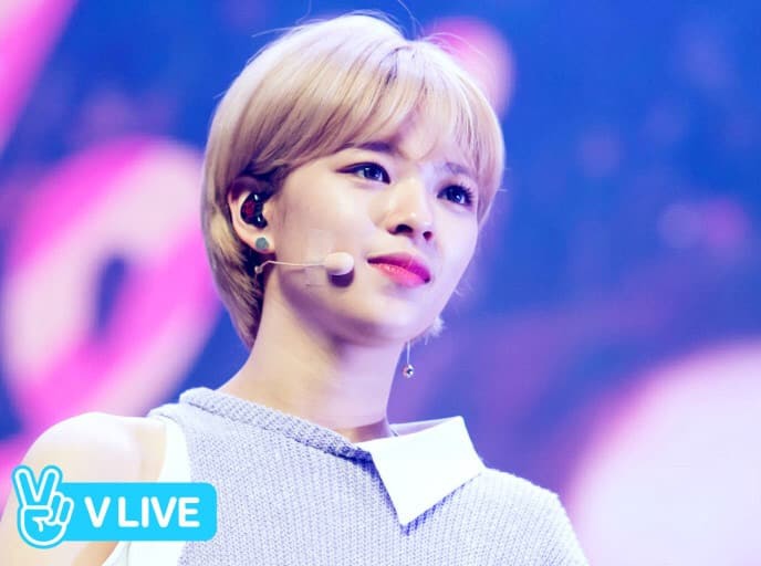 트와이스 나연 정연 사나 | 인스티즈
