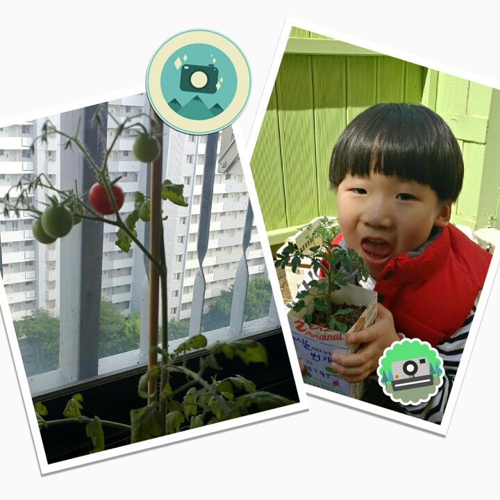 윤토마 이미지