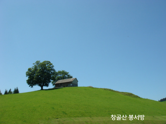 샐가 이미지