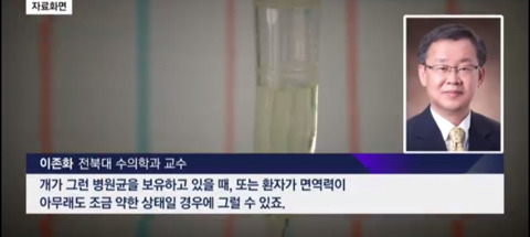 한일관 대표 이웃집 개에 물려 사망 | 인스티즈