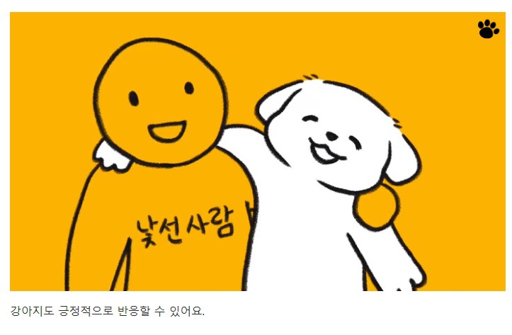 처음 만난 강아지와 인사하는 방법 | 인스티즈