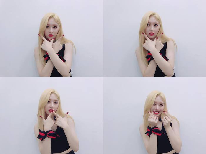소나무 의진.jpg | 인스티즈