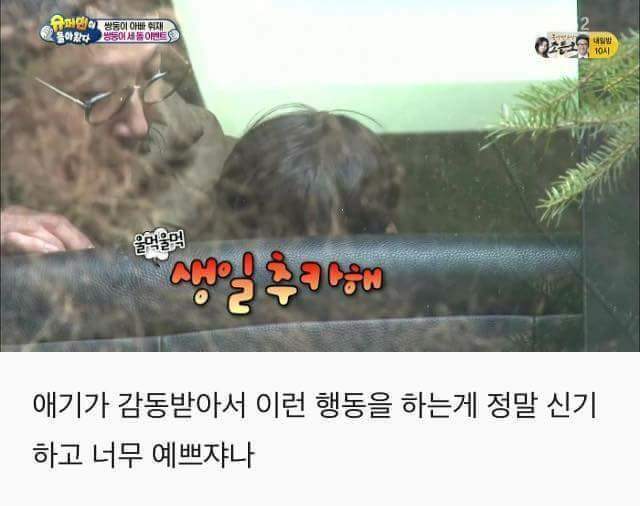 서준이를 위해 서프라이즈생일파티를 준비하는 서언이 | 인스티즈