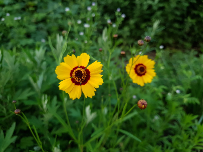 99691F415D3269633091F1