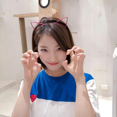 냥이까페간 프로미스 나인 | 인스티즈