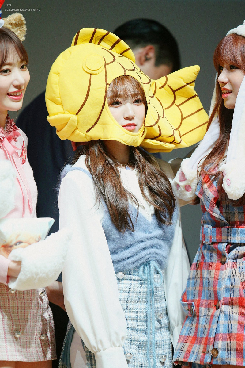 귀여운 아이즈원 동물농장 ㅋㅋㅋㅋㅋ | 인스티즈