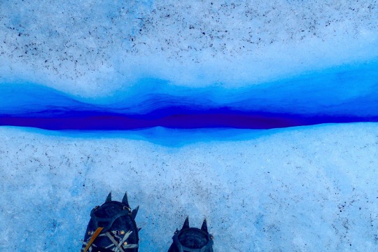  추억을 해부하다 | 인스티즈