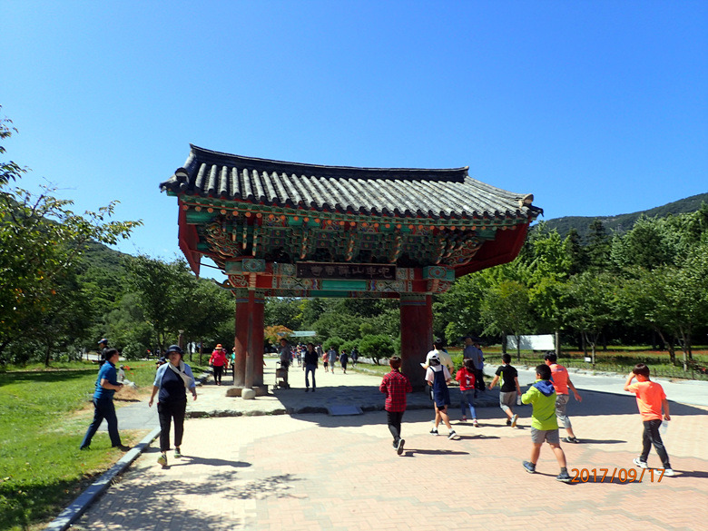 꽃밭에서농장직영 이미지