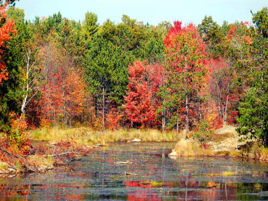 4계절 중 가장 좋아하는 계절은? | 인스티즈