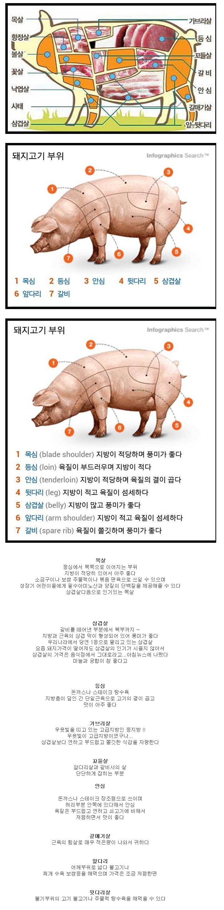 돼지고기 부위별 특징 | 인스티즈