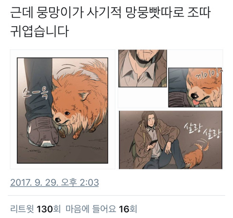 작가님이 댕댕이를 지나치게 귀엽게 그리는 웹툰 | 인스티즈