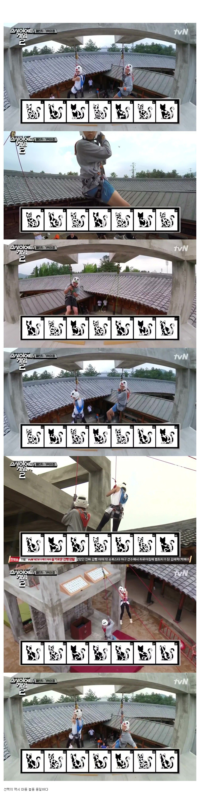 [소사이어티게임2] 고양이 무늬 챌린지 분석 | 인스티즈