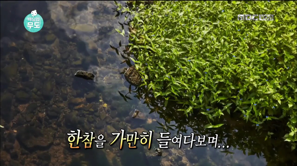 8살때 떠나온 고향을 영상과 사진으로 만나는 할머님 | 인스티즈
