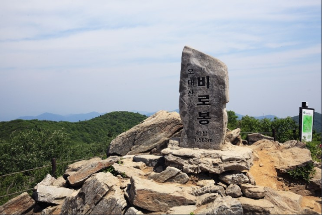 개화주유소 이미지