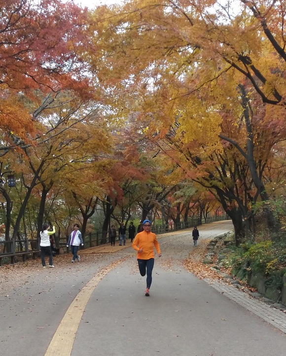 터벅 이미지